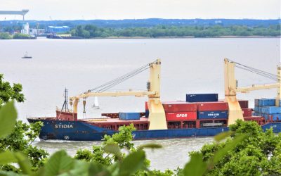 VORHIN VORBEIGERAUSCHT: „Stidia“ 🇩🇿