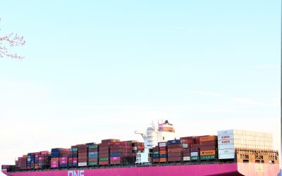 Vorhin vorbeigerauscht: „ONE Continuity“ 🇵🇦