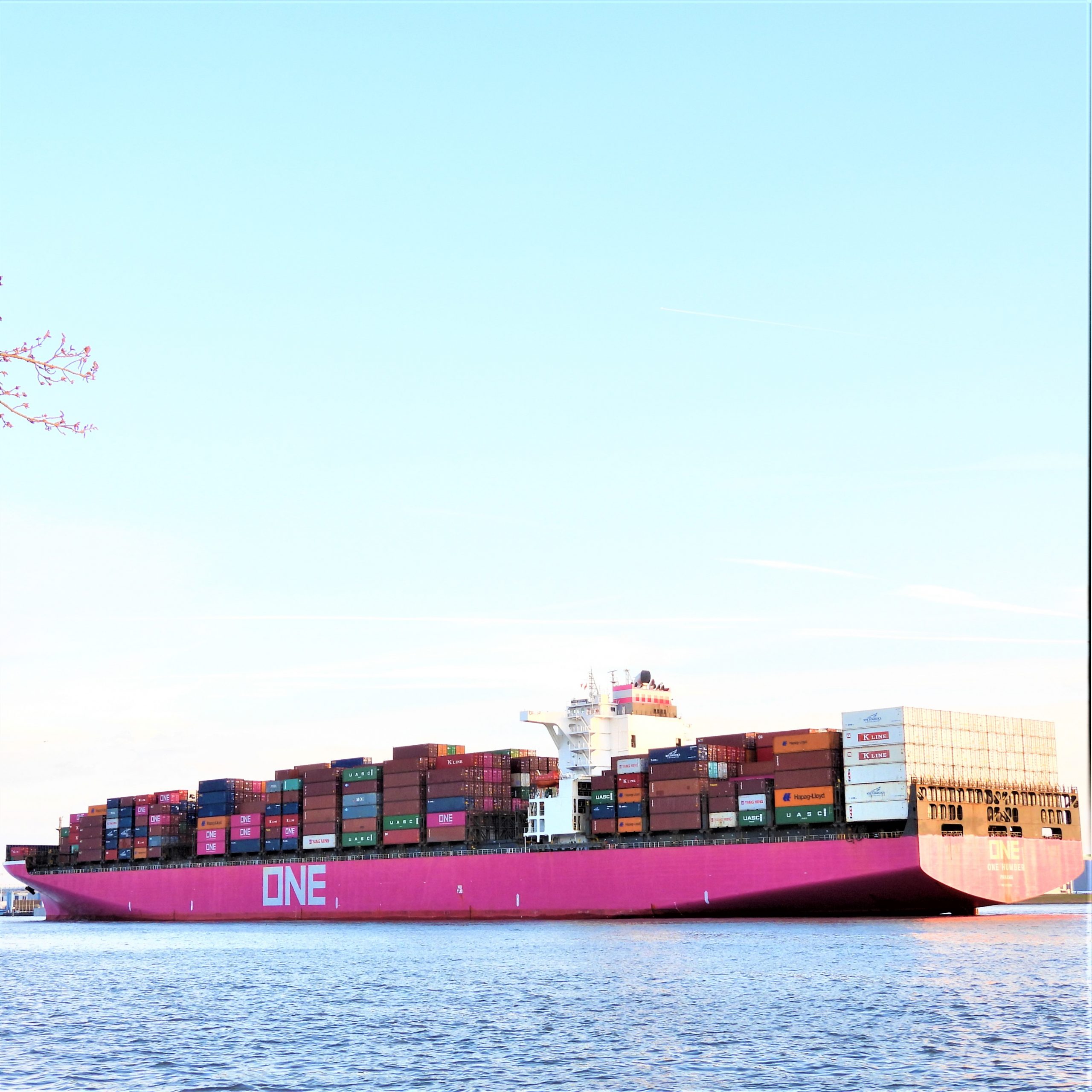 Hamburg-Schiff-Elbe-Wasser-Fluss-Seefahrt-Schifffahrt-ONE-Container-rosa-pink-DSCN0155-Quadrat-2