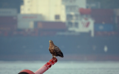 Tierisch Hamburg – Unser „Mühlo“