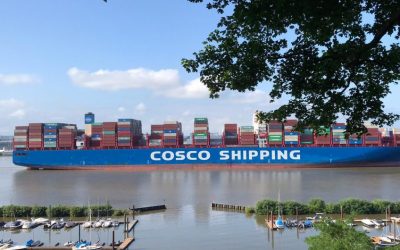 „COSCO Shipping Scorpio“🇭🇰