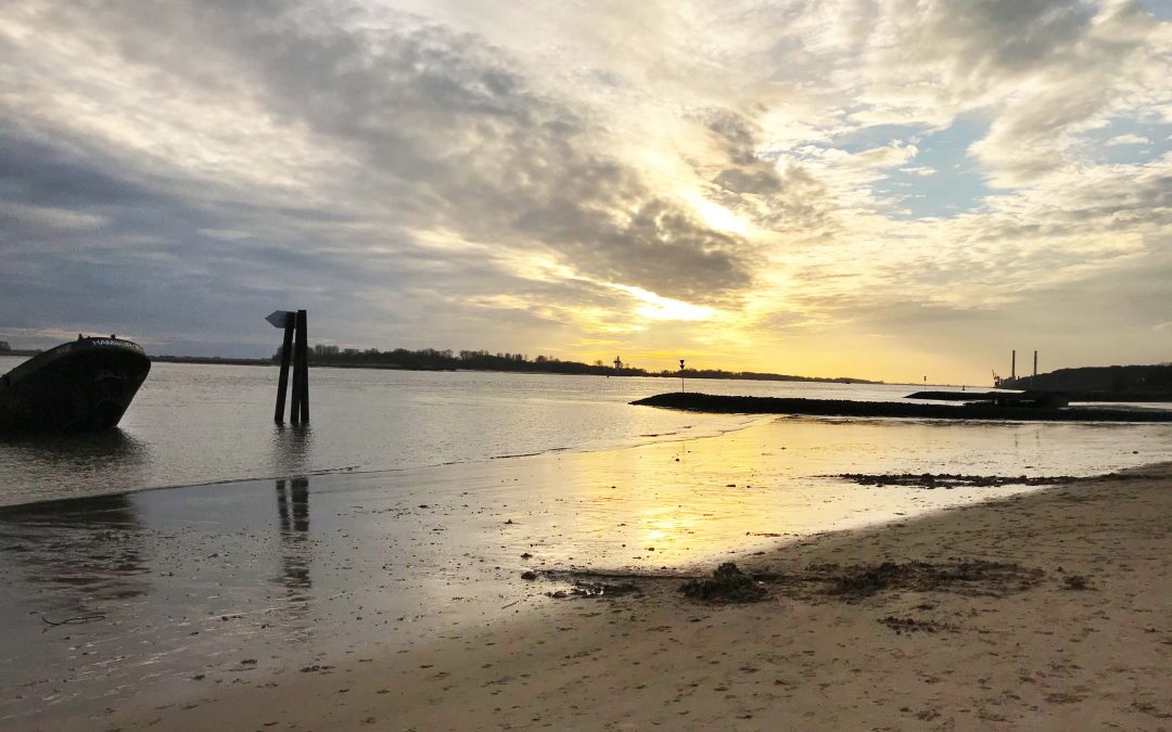 Bislang 2025 keine Elbe-Badeunfälle