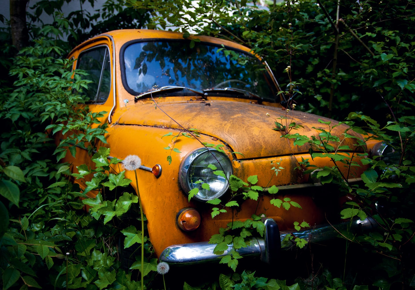 SvenGrot_Fiat650