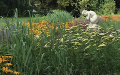 Sommerfest des Bürger-Vereins