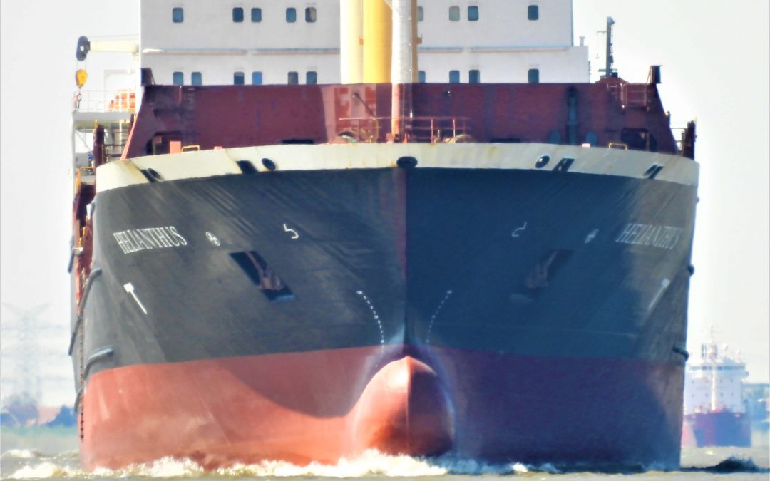 Vorhin vorbeigerauscht: „Helianthus“ 🇱🇷