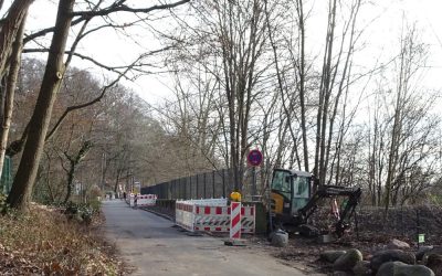 Amphibienschutz am Falkensteiner Ufer