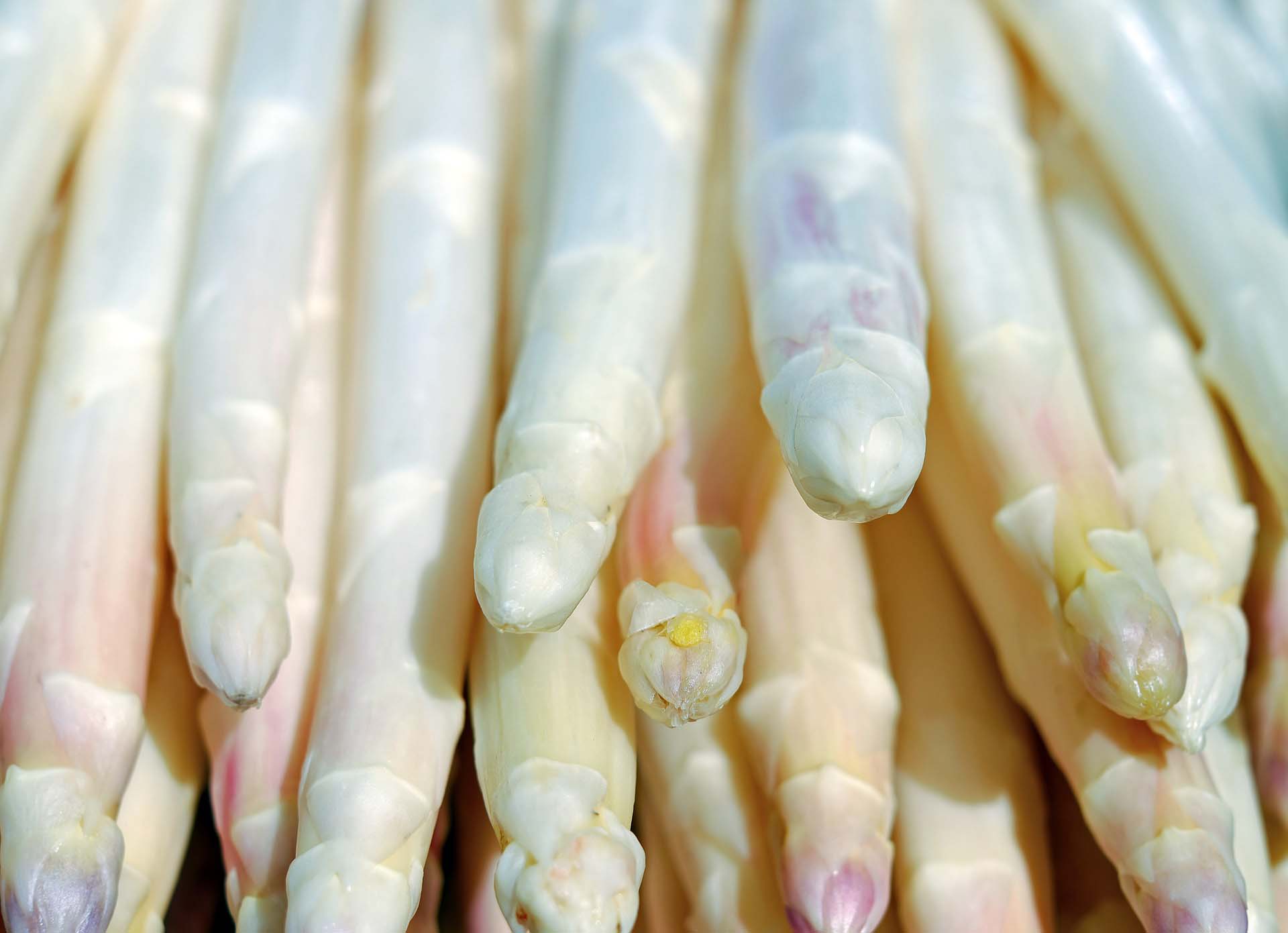 Asparagus-g1f9e6df1a_1920