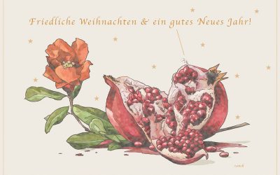 noch ein weiterreichender Weihnachtsgruß