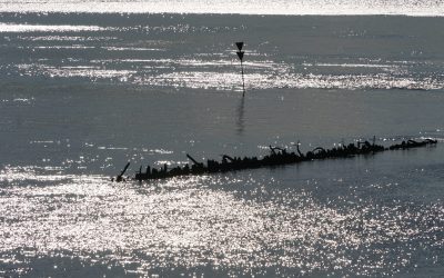 Nur mal ein Blick über Wracks auf die Elbe