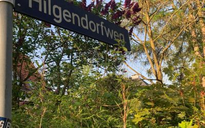 Hilgendorfweg