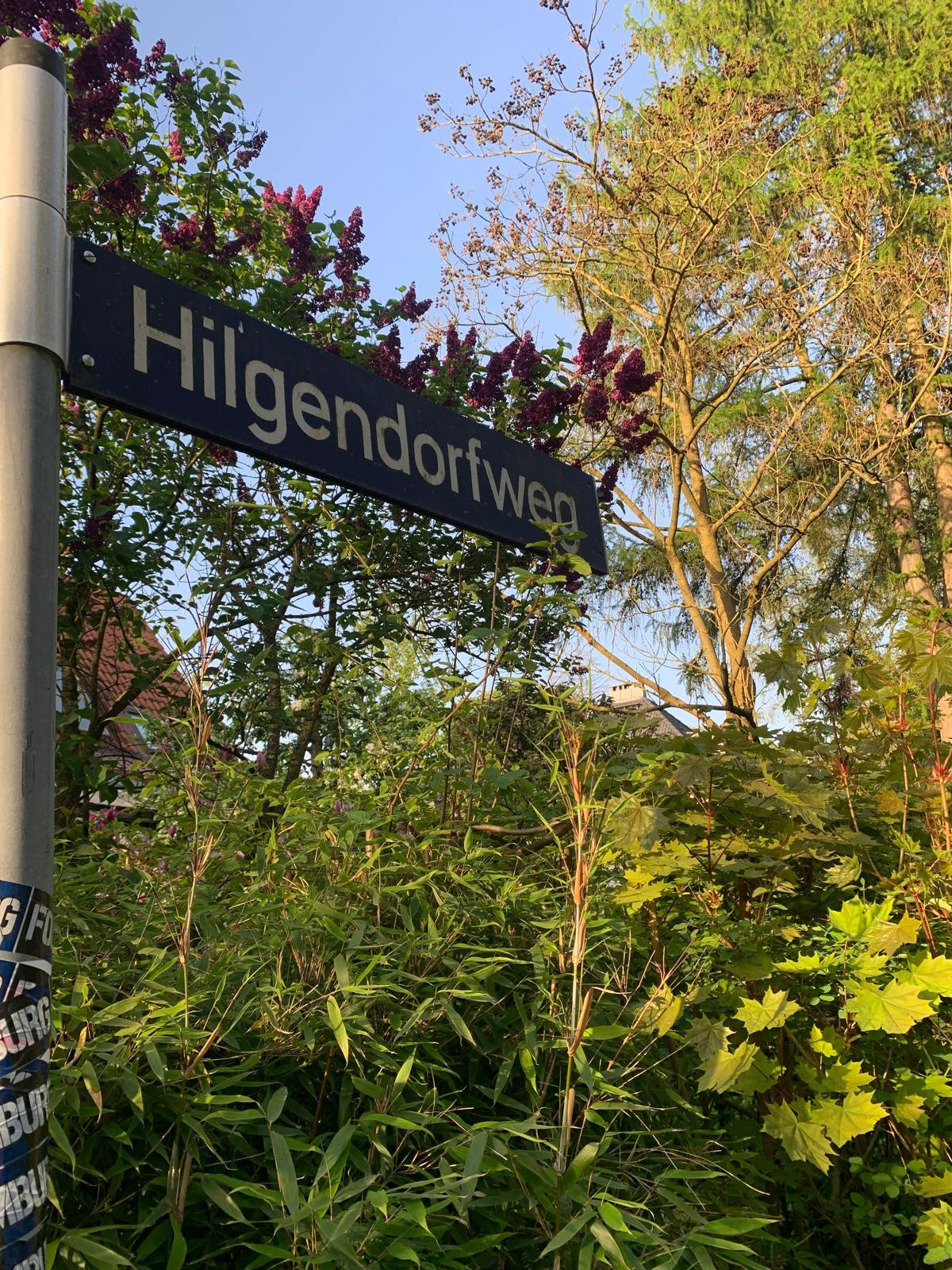 Hilfendorfweg1