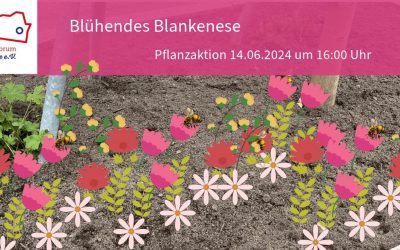 „Hände schmutzig machen, Blankenese Farbe geben!“ 