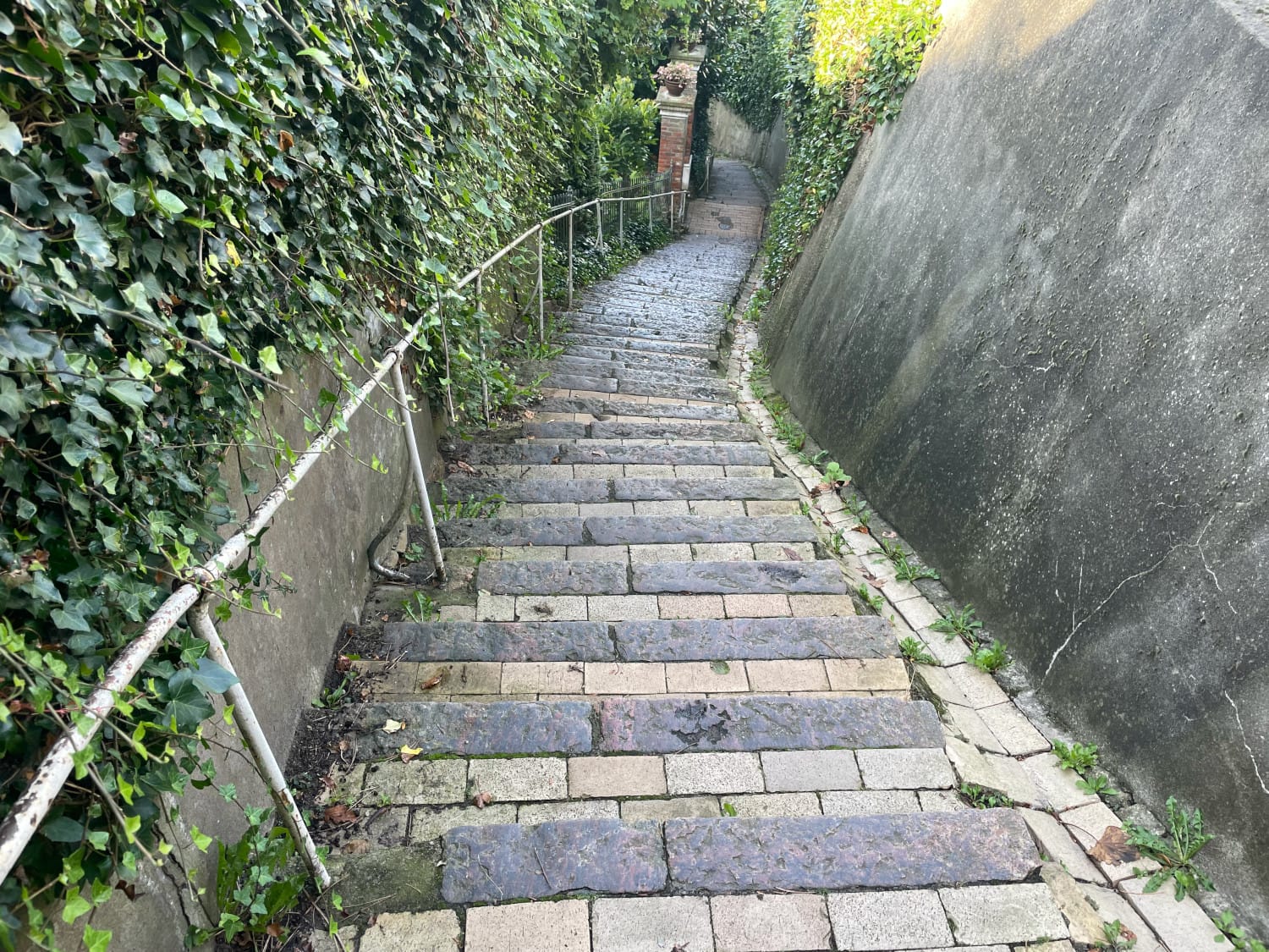 20240821Treppenviertel2