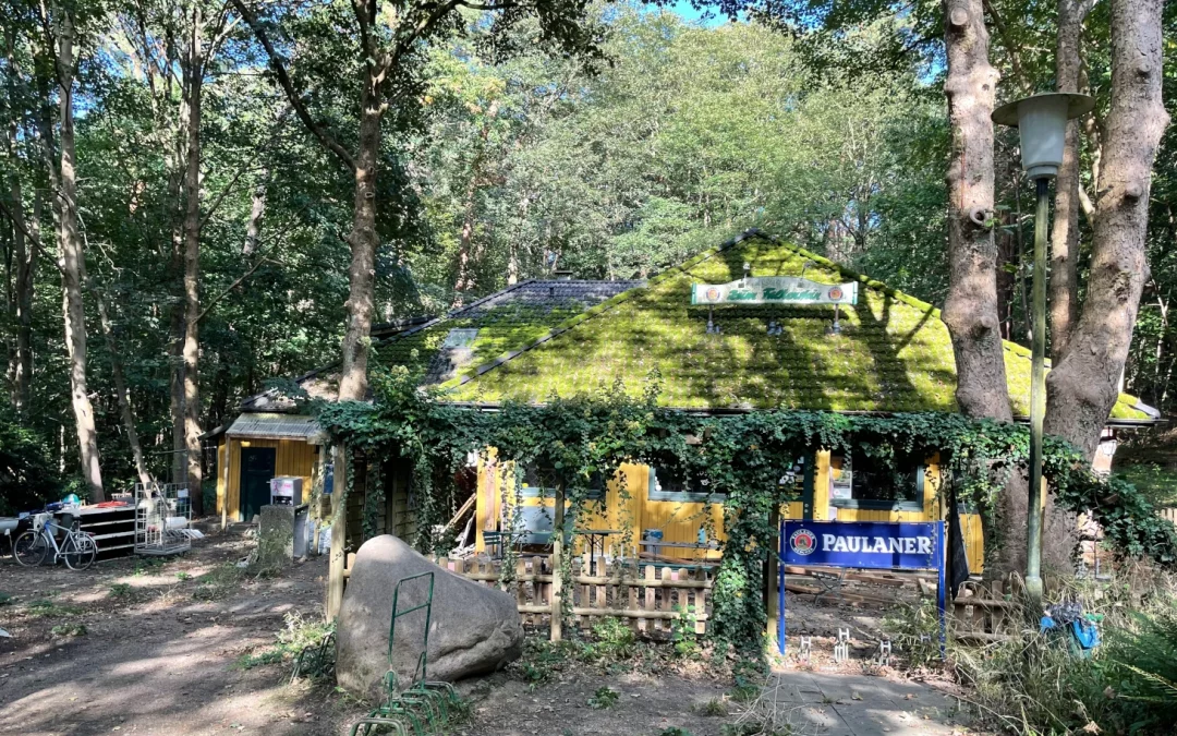 Hoffnung auf Gastronomie am Falkenstein