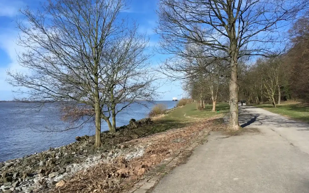 „Bestimmen Sie die Zukunft des Elbuferwanderweges!“