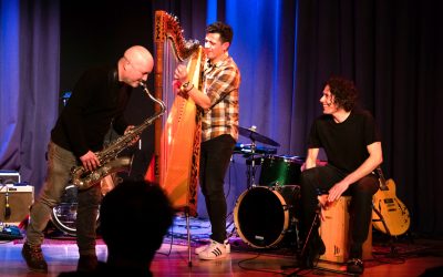 Gosslerhaus: „SaxYarpa“