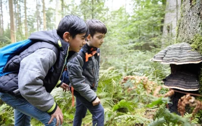 Mehr Waldzeit für Kinder!“