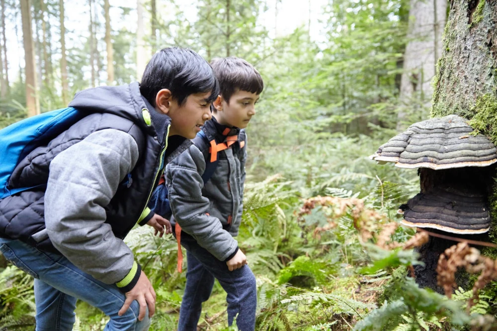Mehr Waldzeit für Kinder!“