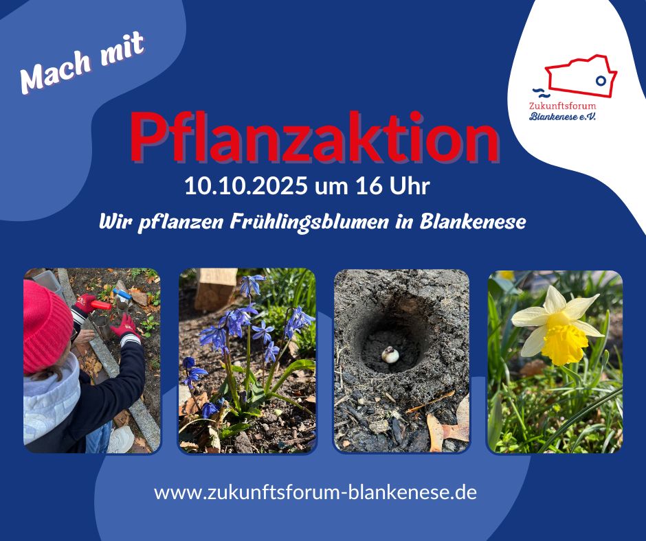 Pflanzenaktion-_Facebook