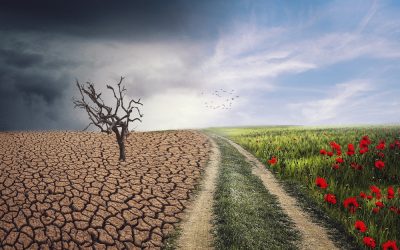 Alle reden vom Klima – hier seine Geschichte
