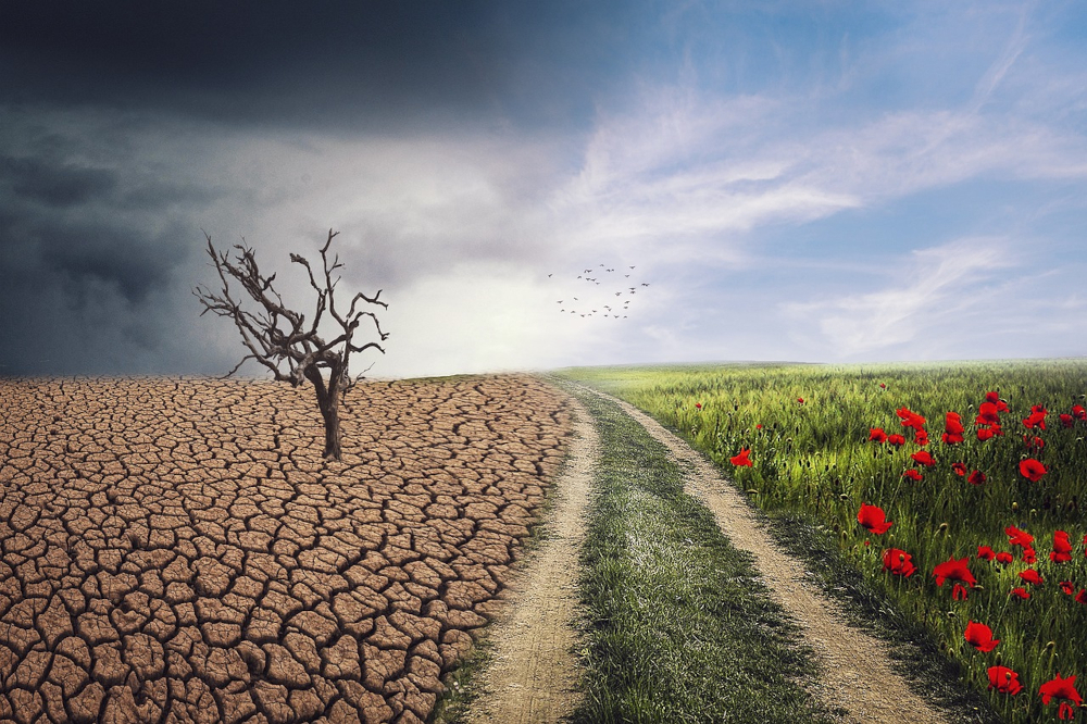 RH. ELG21.pxclimateaction