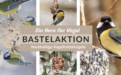 Das Zukunftsforum lädt ein: