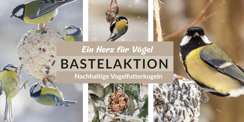 Ein Herz für Vögel- Banner