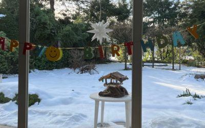 Via e.V. macht den Weg frei: Neue WG im Baumweg für Menschen mit Assistenzbedarf!