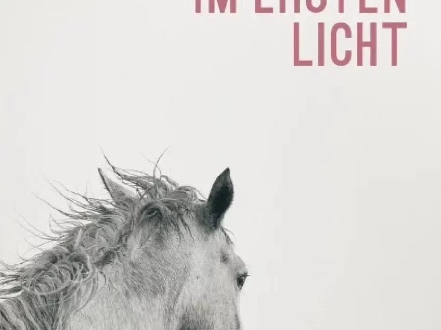 Norbert Gstrein: Im ersten Licht