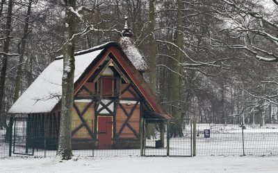 Hirschpark künftig ohne Hirsche