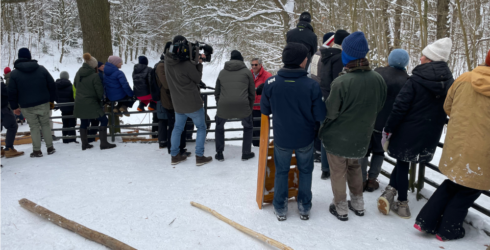 Kreek10.1.2026Fernsehen