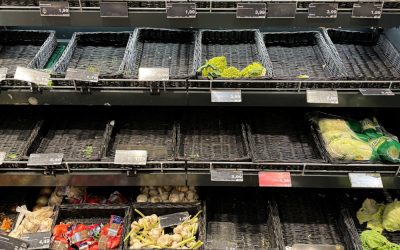 FreitagsGedanken: „Lockdown Elli“