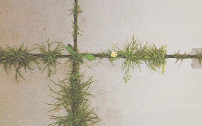 Gründonnerstag bis Ostern 2026