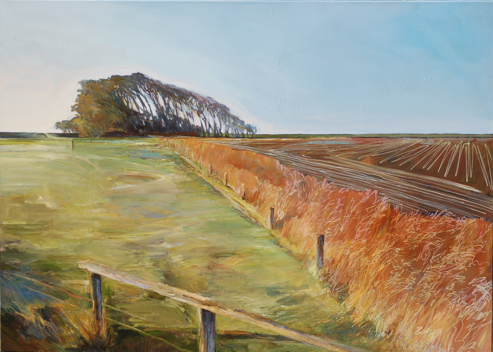 HaukeHaien1 von Bettina Bick