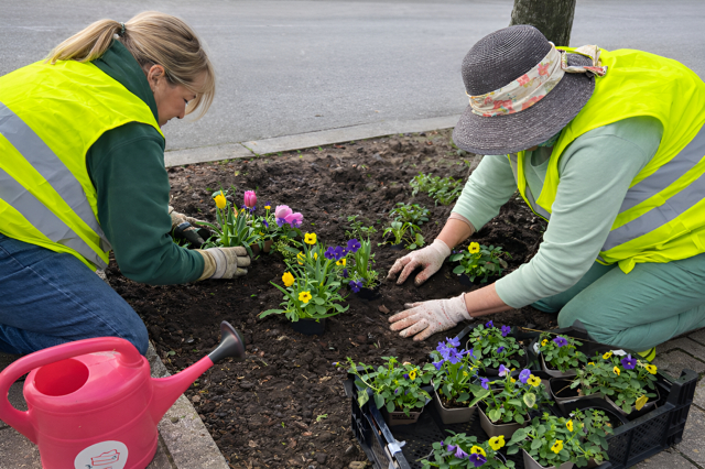 Pflanzaktion ZuFo.10.4.2026