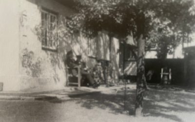 Gesa von Ehren, geb. Meier