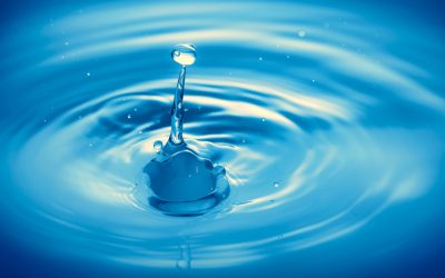 „Das Wasser ist ein freundliches Element für den, der damit bekannt ist und es zu behandeln weiß“