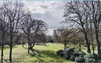 Grüne Oase mit Geschichte