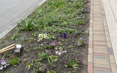 Blühendes Blankenese 