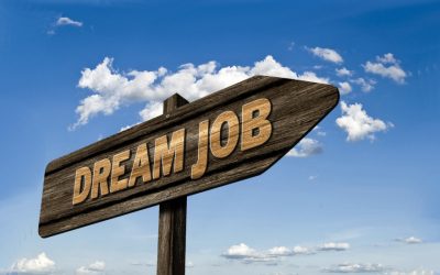 Welche Ausbildung soll ich bloß beginnen?