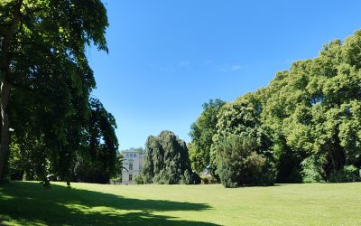 Baurs Park: Vom anglo-chinoisen Landschaftstraum zum Hamburger Lieblingsort