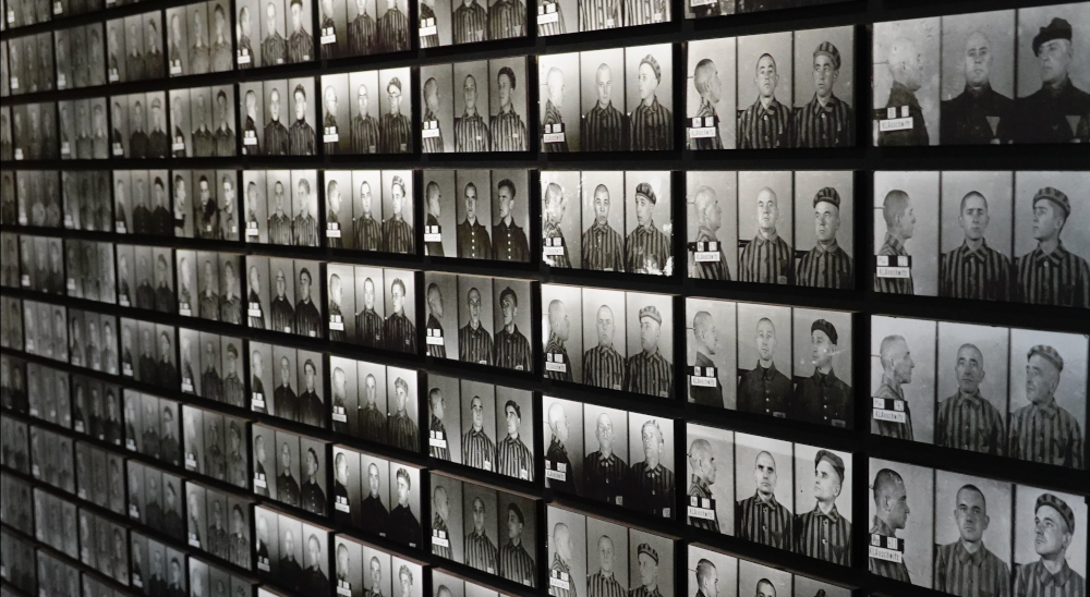 Herzberg.Auschwitz