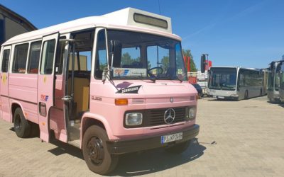 Kurzbesuch: Die Oldtimer- Bergziege