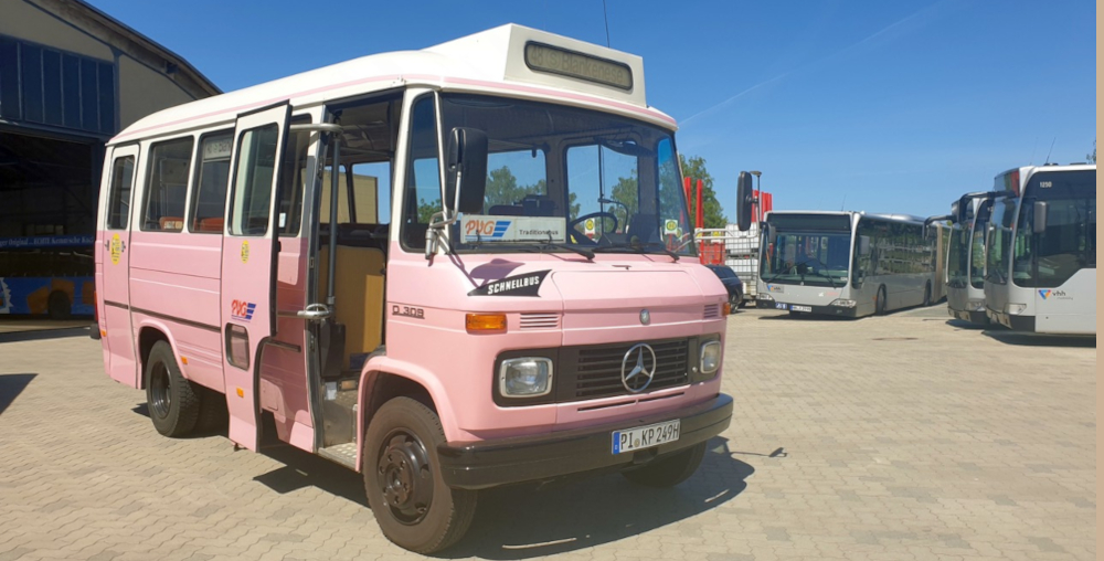 Historische_Bergziege_vhh_mobility