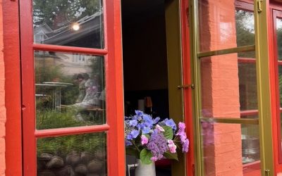 Wilde Vielfalt im Treppenviertel | Langer Tag der StadtNatur