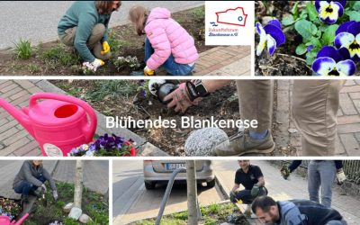 Jede Stimme zählt: Das Projekt „Grünes Band in Blankenese“ unterstützen!
