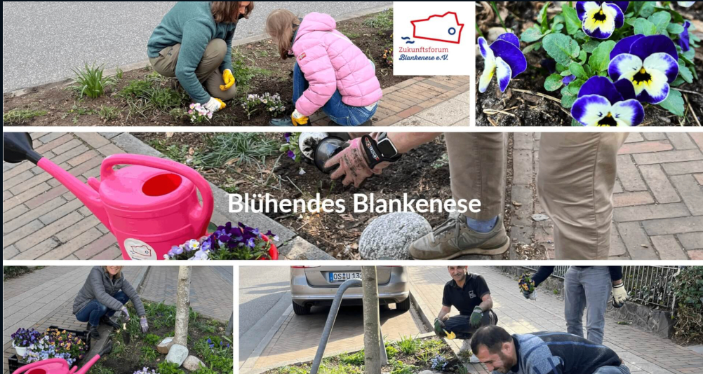 BluehendesBlankenese