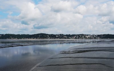 AM BODEN – Über das Innehalten und die Wahrnehmung dessen, was ist.