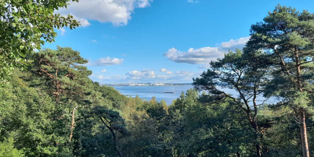 Waldsingen_Wittenbergen