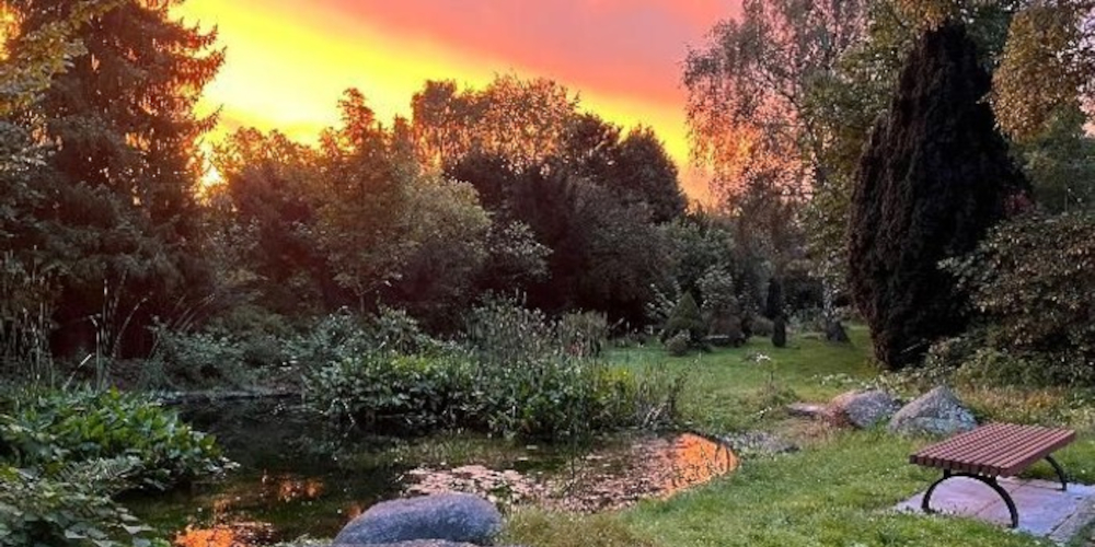 Tag des Friedhofs: Oase der Natur